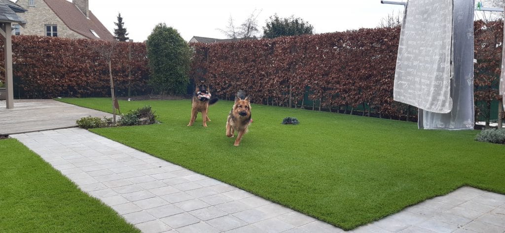 Heeft u honden? Kunstgras is de ideale oplossing voor uw tuin.